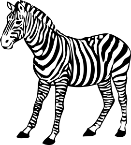 Zebra PNG image-8975